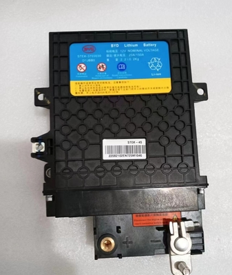 395*291*109mm Preto BYD Tang EV Starter Bateria de ferro STEK-3703030 para desempenho