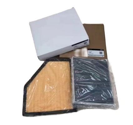 810004001 Elementos de filtro de ar condicionado sem motor para motor BEV para VOYAH e comerciante de retalho