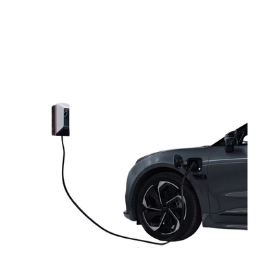 200-220v ABS PC ZEEKR Todas as séries Carro 7kw Smart Home Carregador de pilha Peças originais de automóveis