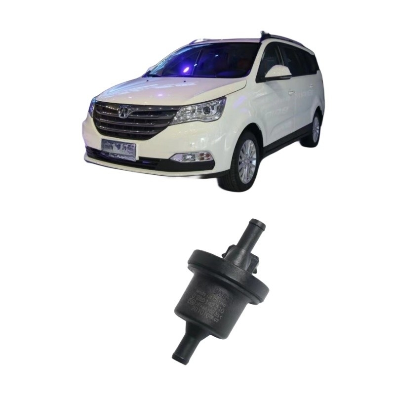 BAIC WEIWANG M35 306 307 M20 M30 205 206 M50F M35M60S50 válvula de solenoide do tanque de carbono