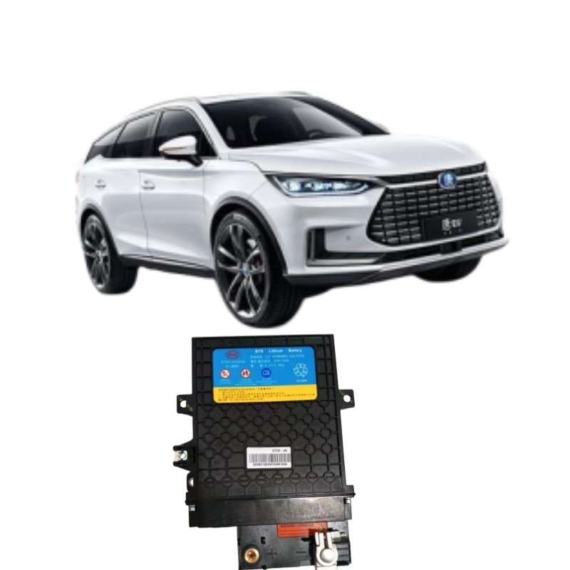 395*291*109mm Preto BYD Tang EV Starter Bateria de ferro STEK-3703030 para desempenho